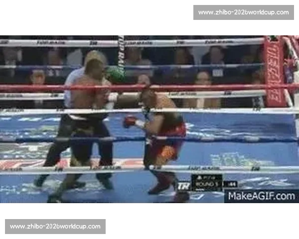 前蝇量级冠军弗朗斯遭重拳 KO，职业生涯遭遇重创