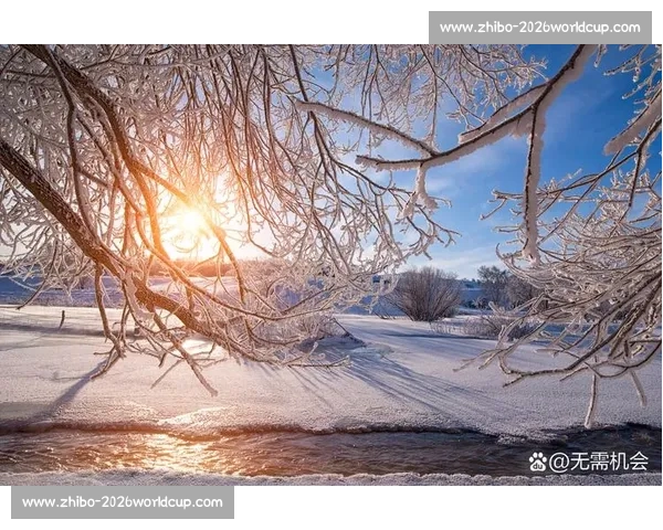 日常微光：触摸生活的温度