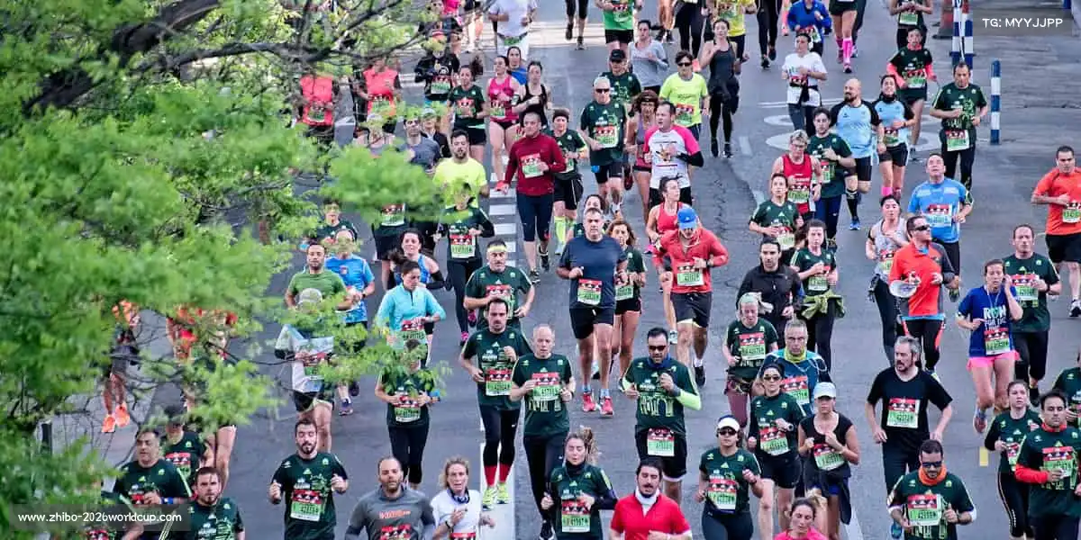 为什么选择我们